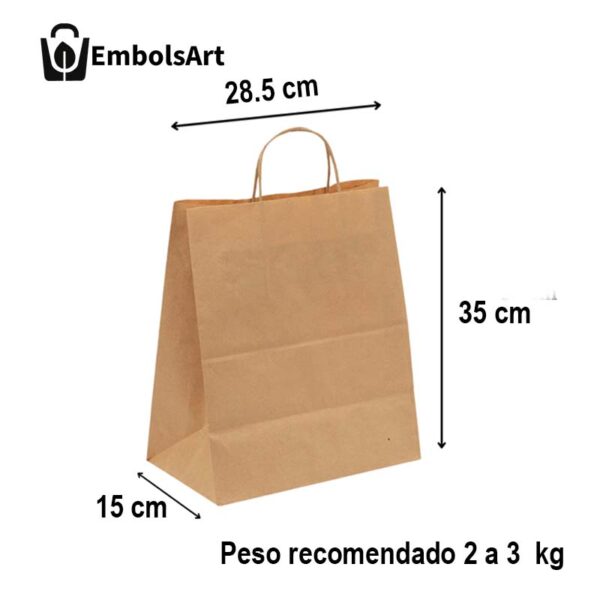 Bolsa con manija mediana